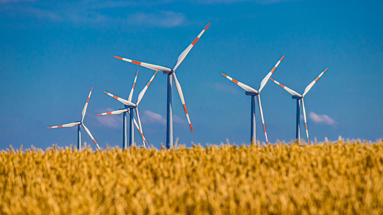 wiatraki energia odnawialna